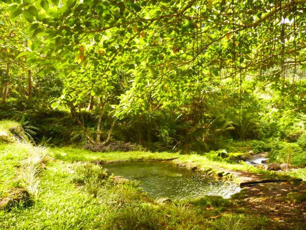 Somewhere Else Boutique Resort مامباجاو المظهر الخارجي الصورة