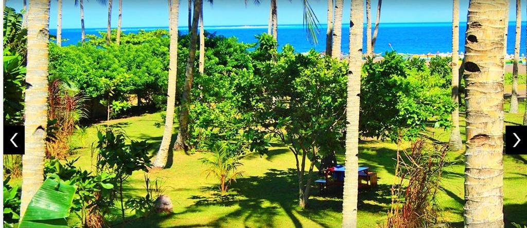 Somewhere Else Boutique Resort مامباجاو المظهر الخارجي الصورة